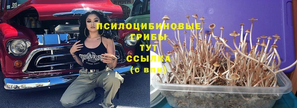 экстази Алексин