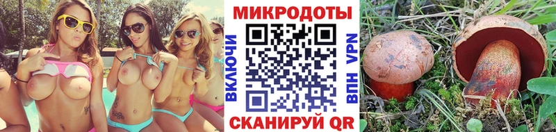 закладка  Грязовец  mega как войти  Псилоцибиновые грибы мицелий 